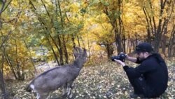 «Чарогоҳи Худоён»-ро дар Бадахшон ёфтаанд