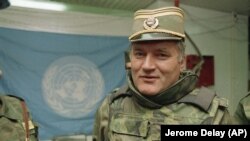 Ратка Младзіч, 1993 год