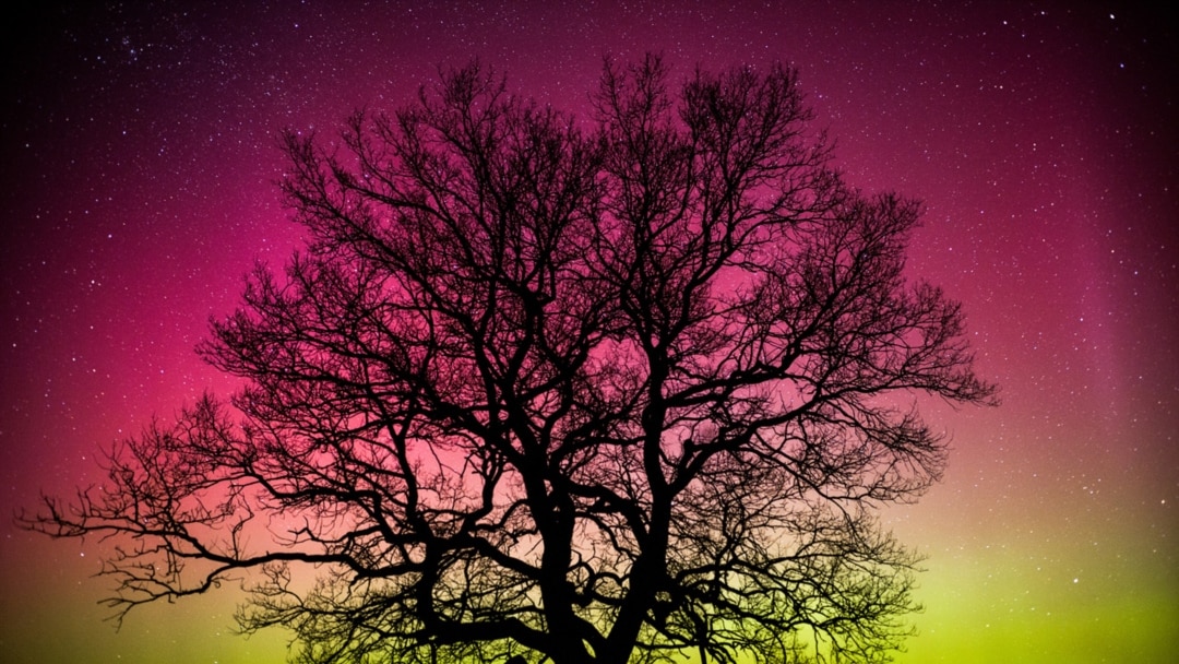 Жапон порно ақ түсті