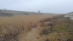 Северо-Крымский канал возле Джанкоя. 25.02.22 (видео)