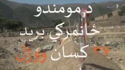 د امبار جومات کې ځانمرګي برید د رڼا ګل څلور زامن ووژل