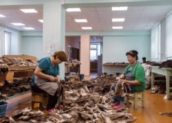Fabrica de arte și meserii Saardana produce obiecte tradiționale, precum pantofi călduroși de iarnă, haine de blană, și suveniruri. Fondată în 1969, această fabrică este cel mai vechi producător de obiecte tradiționale din zonă.