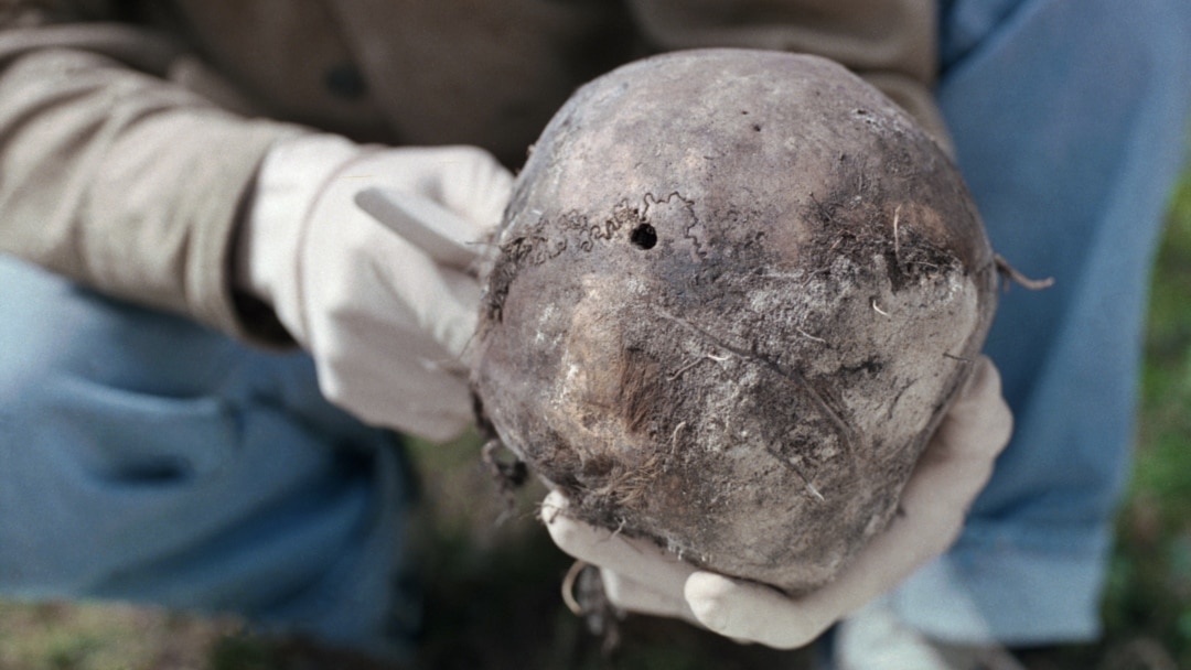 Садомасо ханым фотогалереясы