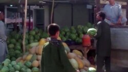 دهاقین جوزجان از نبود بازار فروش خربوزه و تربوز، شکایت دارند