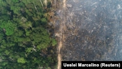 Një xhungël e Amazonës duke u djegur. Gusht, 2020.