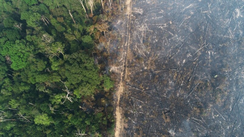 Zabilježen novi rekord krčenja prašuma Amazonije u Brazilu