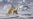 Arctic Countries Talk Sustainability