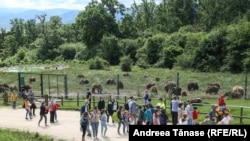 Tineri vizitatori la Libearty Bear Sanctuary de la Zărnești/Brașov. Rezervația a însemnat salvarea a 130 de urși din diverse arii forestiere nesigure sau direct din captivitate. Preocuparea pentru mediu este din ce în ce mai frecventă în rândul tinerilor din România, inclusiv grijile exagerate.