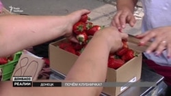 Полуничний бум на Донбасі та в Криму (відео)