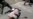 UN Body Names Syria Investigator