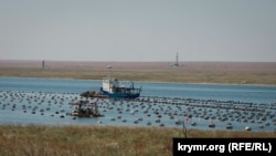 Село Новоозерне на Донузлаві, ілюстративне фото