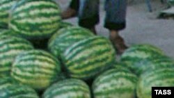 Qarpızı günəş şüalarının birbaşa təsiri altına satılması da zəhərlənməyə gətirib çıxara bilər