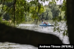 Cod portocaliu de caniculă, București, 2024.