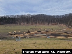 Ferma de la Recea-Cristur se întinde pe aproximativ 450 de hectare.