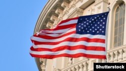 د امریکا بیرغ