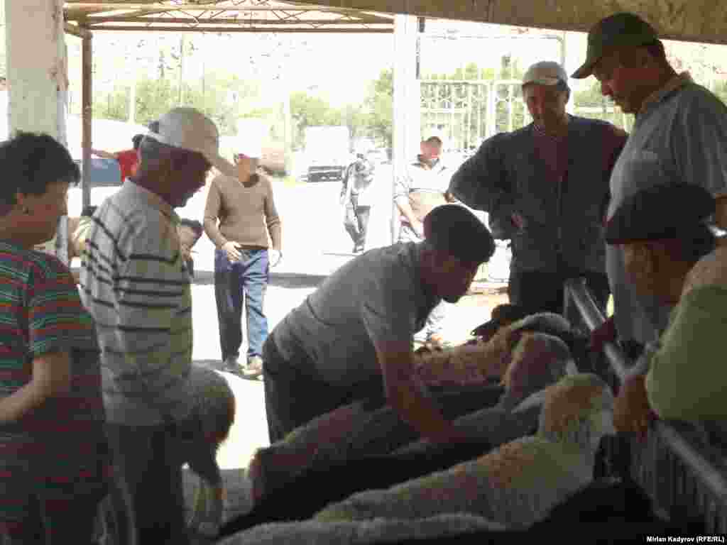 Кыргызстан ЕАЭБге киргени менен эпизоотикалык абалдын начардыгынан эт-сүтүн сырткы базарга чыгаруу укугун ала элек.&nbsp;