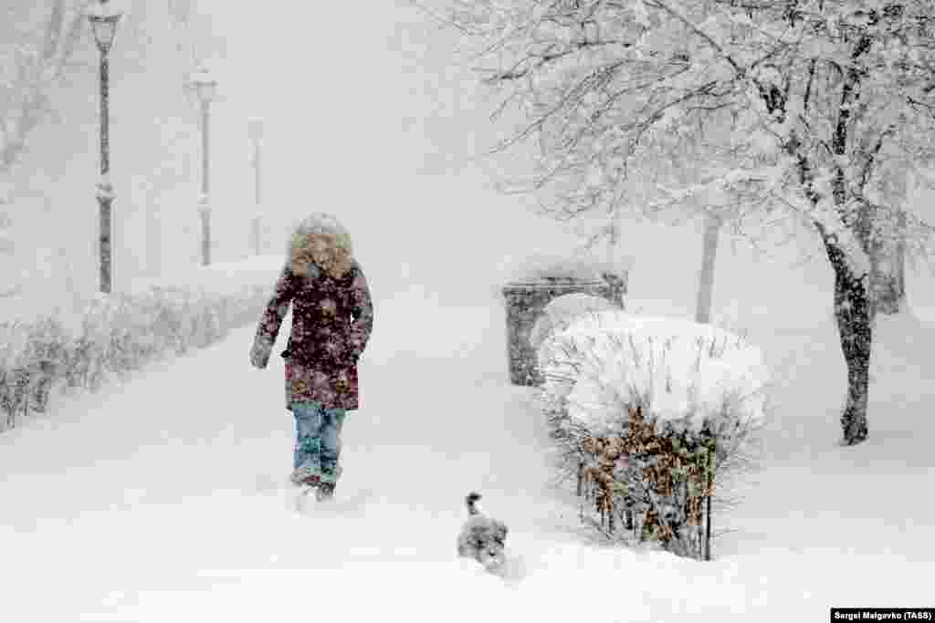 Женщина с собакой во время снегопада на одной из улиц Симферополя