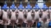 После «прилетов»: Крым теперь без куриного мяса