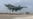 Fight Against Islamic State Looks Like A Cover For Russia's Imperial Gamble