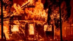 Zjarret shkretojnë Kaliforninë