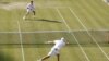 Wimbledon: у фіналі Федерер – Маррей рівновага, гру перервав дощ