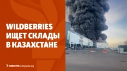 Wildberries в поисках складов в Казахстане. Путин хочет пересмотра договоров с Астаной и Ташкентом