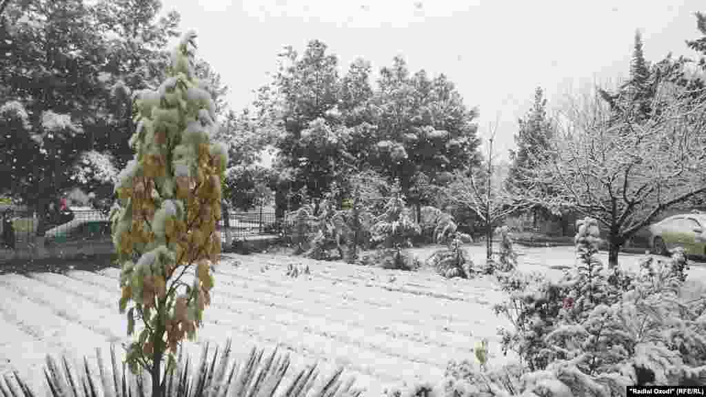 Барфи аввал дар шаҳри Бохтар, 8 декабри соли 2020