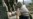 Pattern Emerges As Ossetia Burns