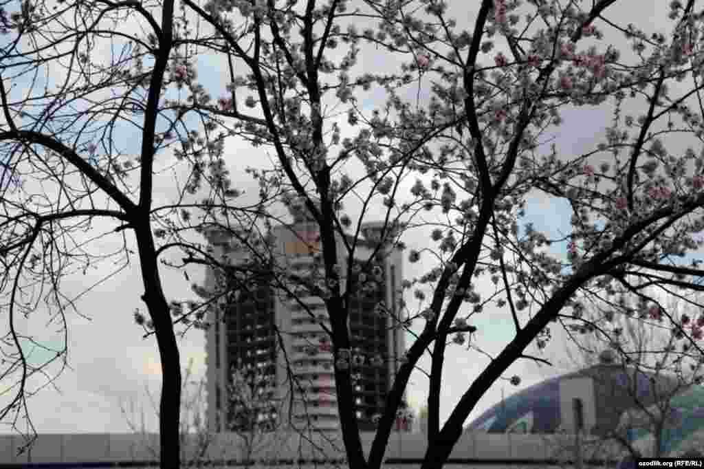 Uzbekistan - spring in Tashkent