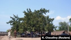 FILE: People gather under a tree where a village council ordered to rape a 16-year-old girl in Punjab.