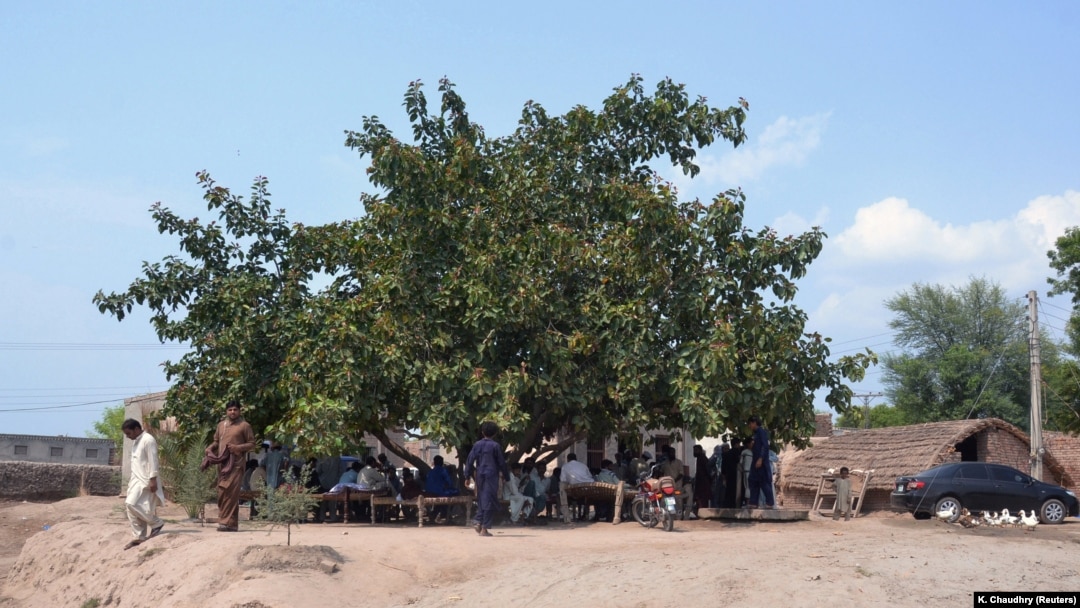People gather under a tree, the site of a rape of a 16-year-old girl allegedly ordered by a village council chief and 23 other councilmen near the city of Multan.