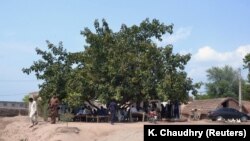 People gather under a tree, the site of a rape of a 16-year-old girl allegedly ordered by a village council chief and 23 other councilmen near the city of Multan.