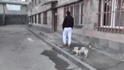 Իրանցիները Հայաստանում ապաստան հայցողների թվով առաջինն են