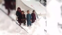 در پی برف‌باری‌های شدید در افغانستان بیش از ۴۰ تن جان باخته‌اند .