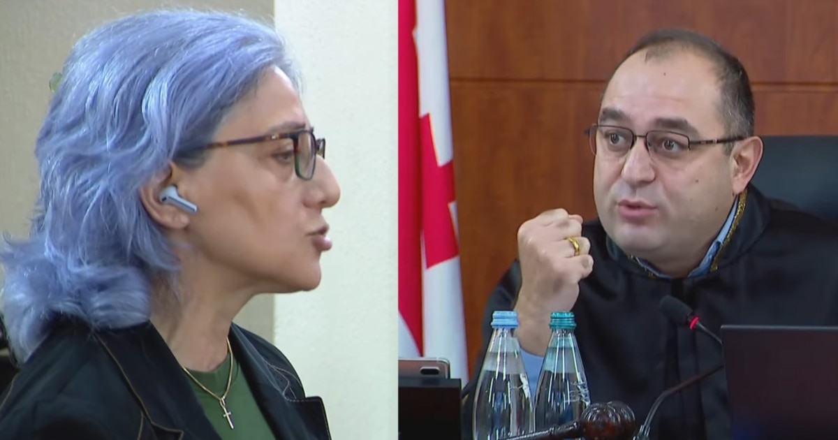 ნადარაია კოპალეიშვილს: ცდილობთ სასამართლოს წარმოჩენას ისე, თითქოს რაღაცაში გზღუდავთ