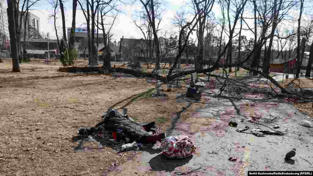 Тіло жінки в ірпінському парку «Дубки». Зараз нічого не вказує на те, що це місце загибелі людини. Ліворуч фото від 11 березня 2022, праворуч – березень 2025 року