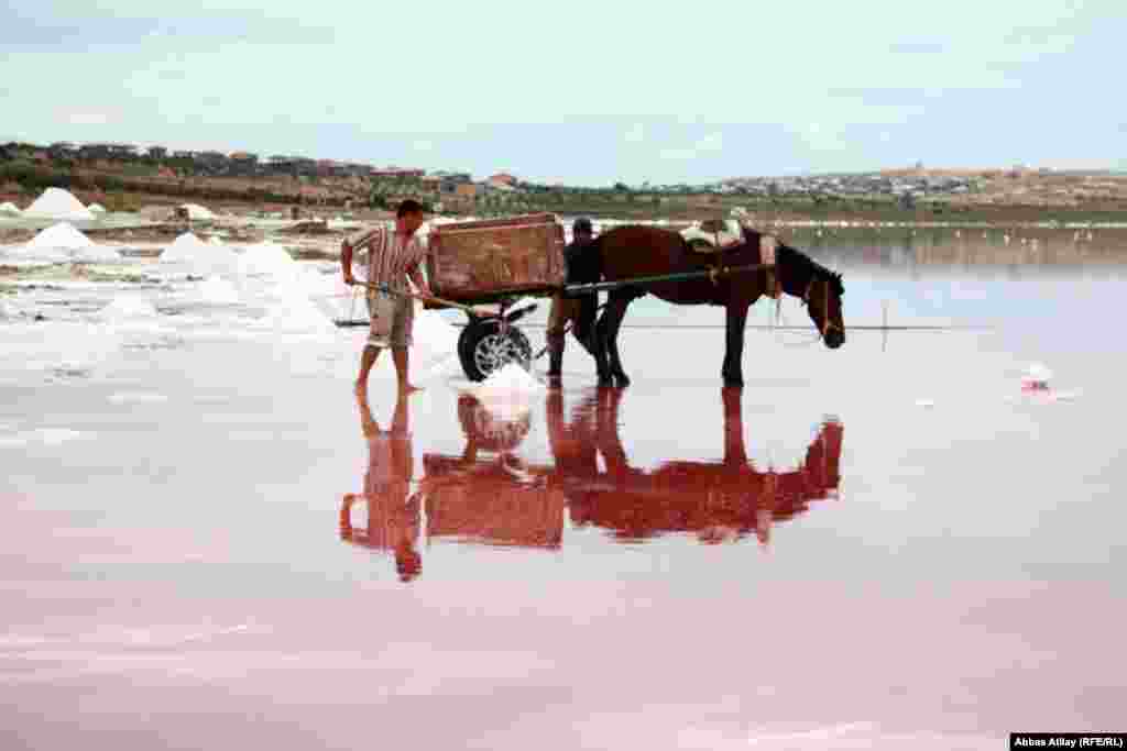 Bu göl qırmızıya boyanan görüntüsü ilə yalnız xoş təəssürat yaradan mənzərə deyil, həm də bir çoxları üçün təbiətin verdiyi çörək ağacı idi.