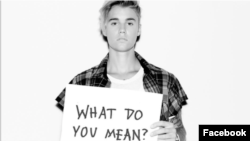 What do you mean - Justin Bieber