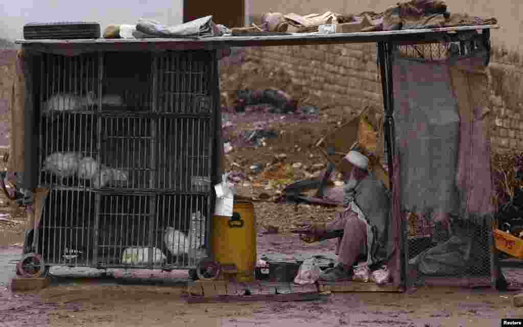 A vendor cuts a slaughtered chicken next to cages of live poultry in a makeshift stall along a roadside in Peshawar, Pakistan. (Reuters/A. Ali)