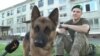 Кінологи зі службовими собаками готуються до військового параду на честь Дня Незалежності України (відео)