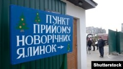 «Зібрані дерева перероблять на тріску на спеціальному подрібнювачі, навесні використають для мульчування лунок вічнозелених рослин»
