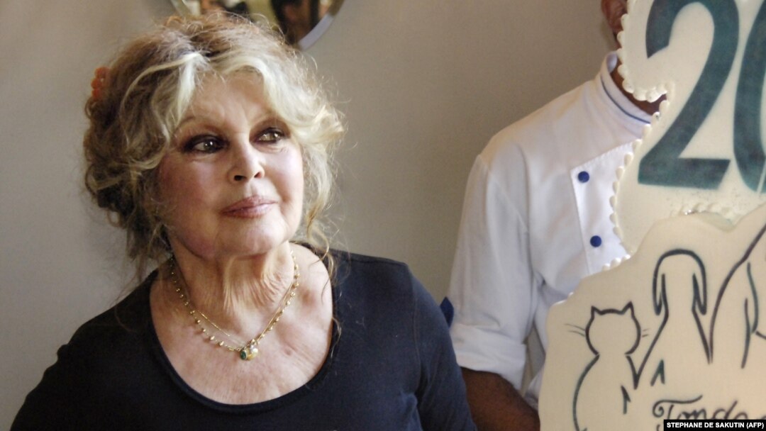 French actress turned animal rights activist Brigitte Bardot (file photo)