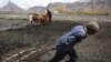 Father and son prepare a field for planting in the village of Salhad Breuhil, in Afghanistan&#39;s remote Wakhan Corridor.&nbsp;