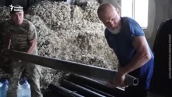 Yaş savaşmağa əngəl deyil – 'Çöl canavarları' belə deyirlər