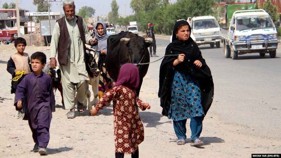 Афганці залишають свої домівки через ескалацію насильства в провінції Гельманд. Бої між урядовими військами та «Талібаном» тут тривають на тлі виведення останніх військових США та НАТО з Афганістану