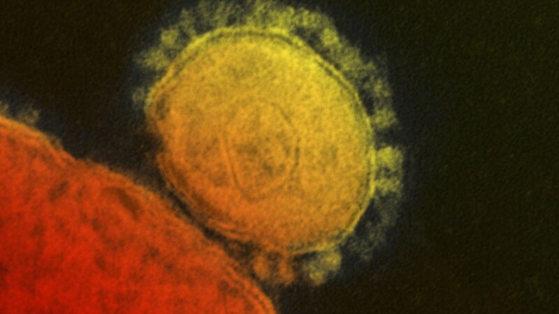 WHO upozorava na moguću epidemiju novog kineskog korona virusa