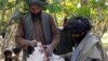 Afghan Insurgent Tolls Not Needed, U.S. Military Says