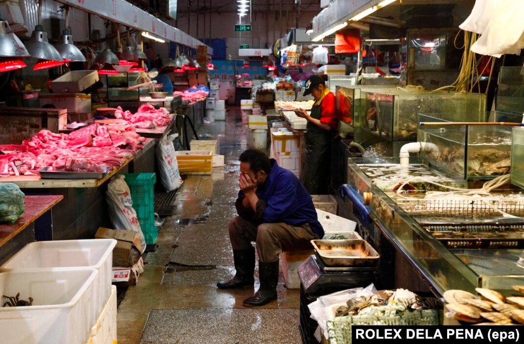 Chopped crocodile at a wet market in Guangzhou, China.