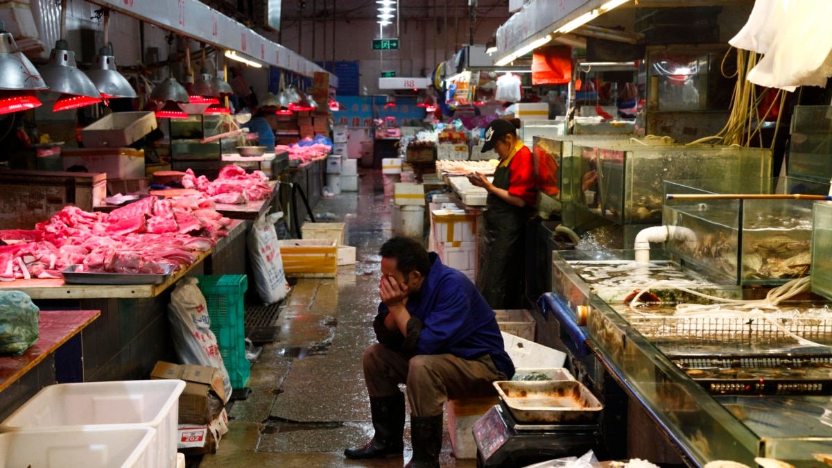 Coronavirus Cradle? Inside China's Controversial 'Wet Markets'