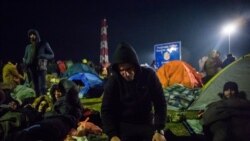 Migranti proveli noć na srpsko-mađarskoj granici